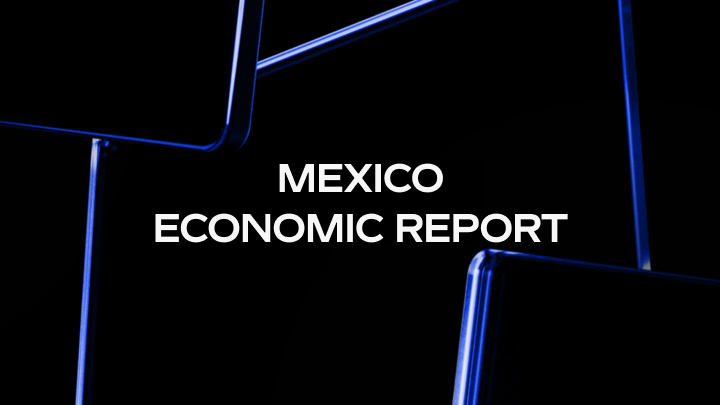 2025 Mexico Economic Impact Report