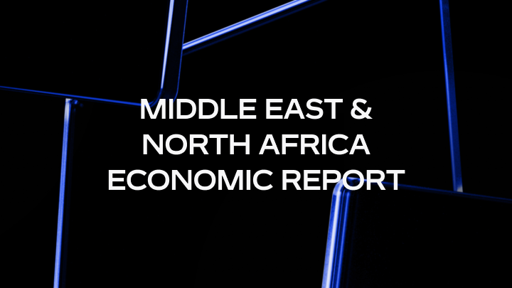 2025 MENA Economic Impact Report 